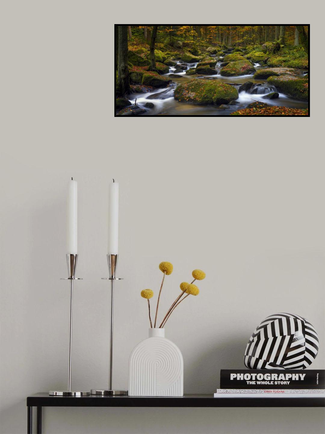 autumn waters Poster och Canvastavla