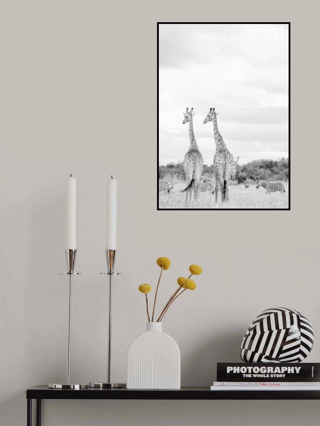 Super Safari No2 Poster och Canvastavla