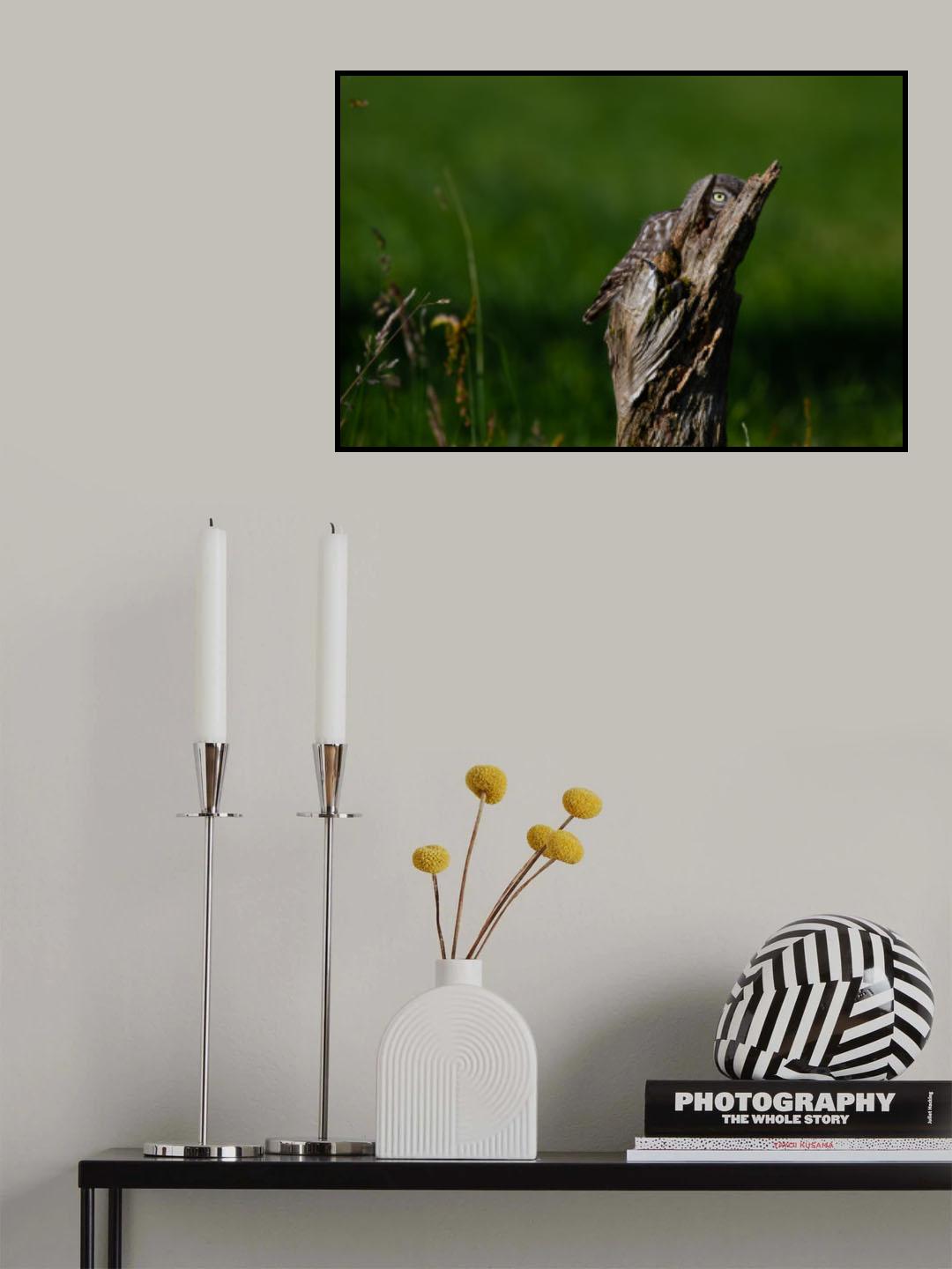 Watching you, watching me... Poster och Canvastavla