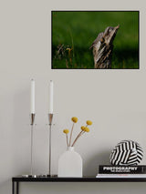 Watching you, watching me... Poster och Canvastavla