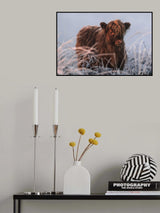 Little Highlander Poster och Canvastavla