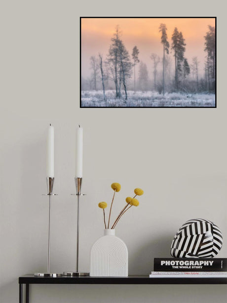 Frosty morning Poster och Canvastavla