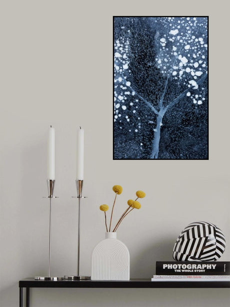 Winter Blossom Poster och Canvastavla