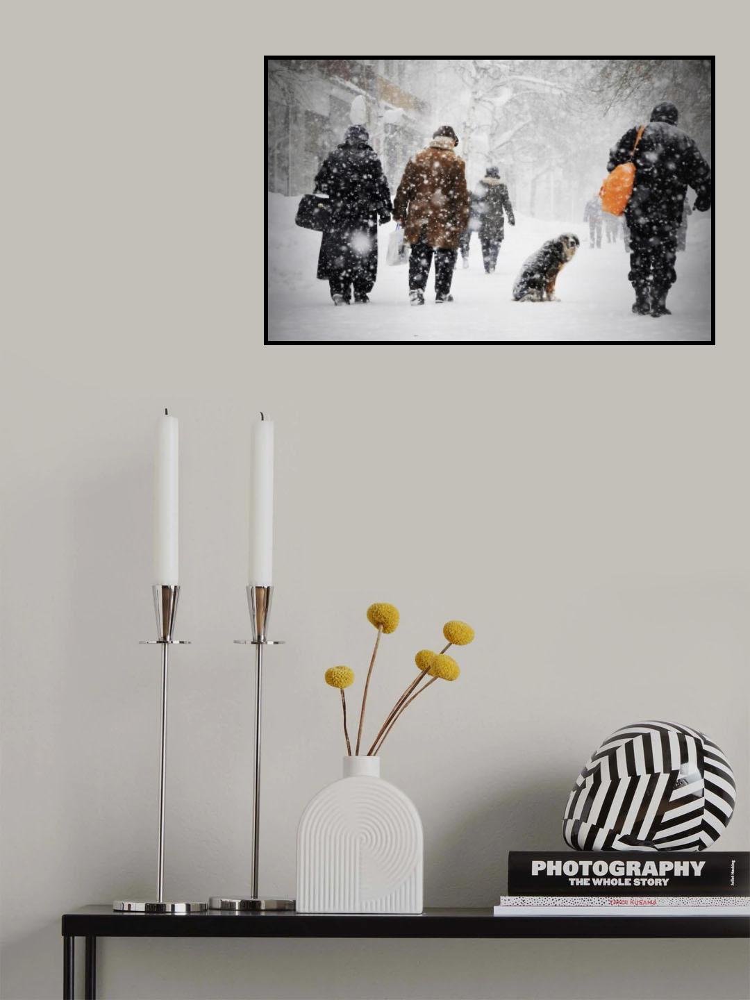 Domestication Poster och Canvastavla