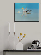 *** Poster och Canvastavla