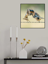 Sweet Home Poster och Canvastavla