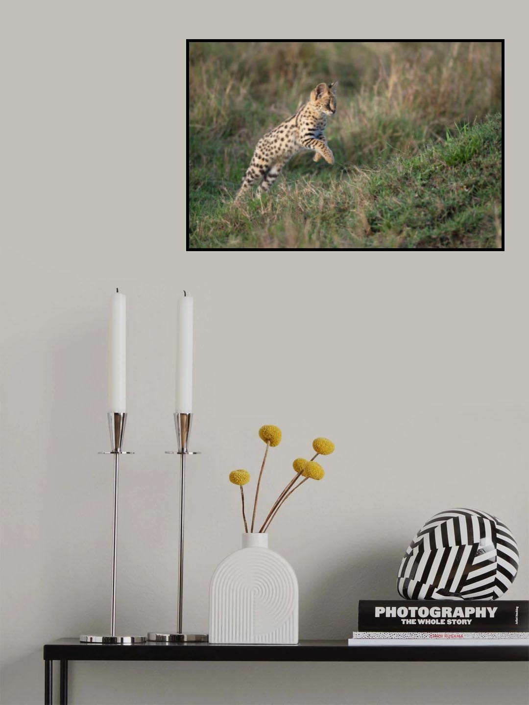Jump around Poster och Canvastavla