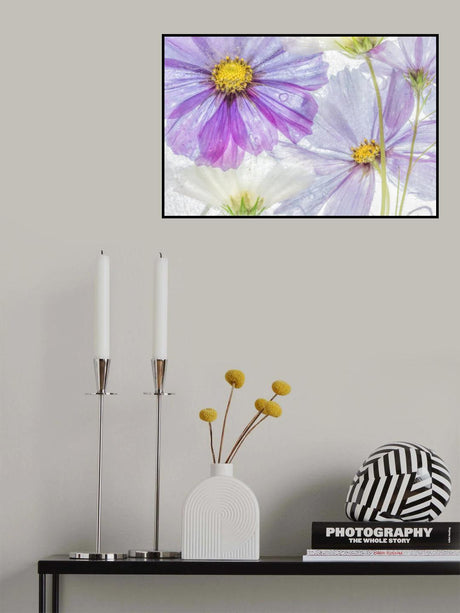 Cosmos cool Poster och Canvastavla