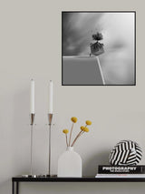 Cube Poster och Canvastavla