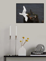 Robbing Poster och Canvastavla