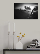road... Poster och Canvastavla