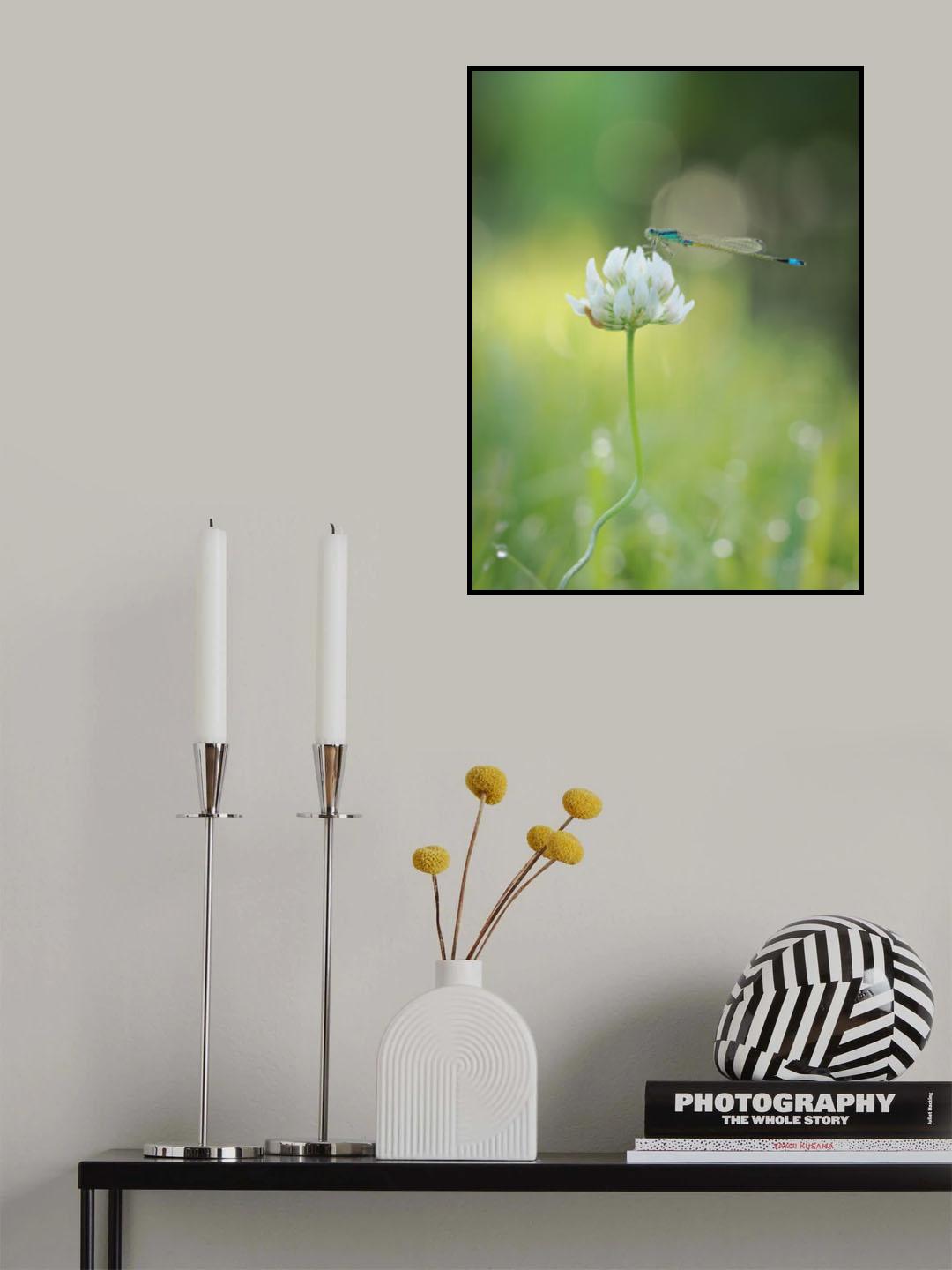 Summer morning Poster och Canvastavla
