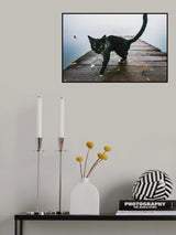 Kitty Poster och Canvastavla