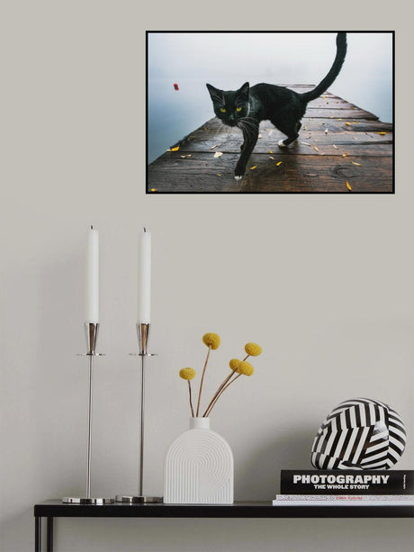 Kitty Poster och Canvastavla