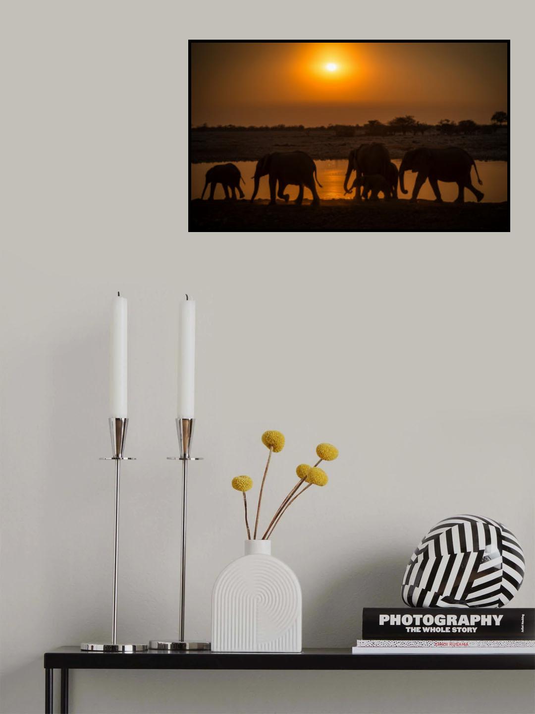 elephant group Poster och Canvastavla