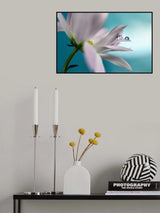 In turquoise Company Poster och Canvastavla