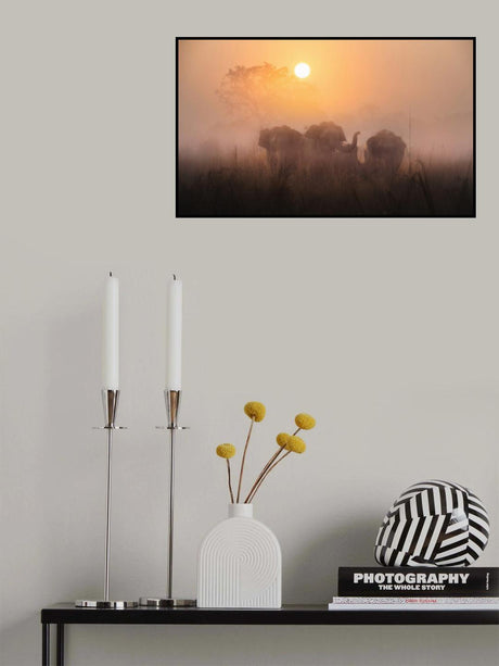 Mornings Poster och Canvastavla