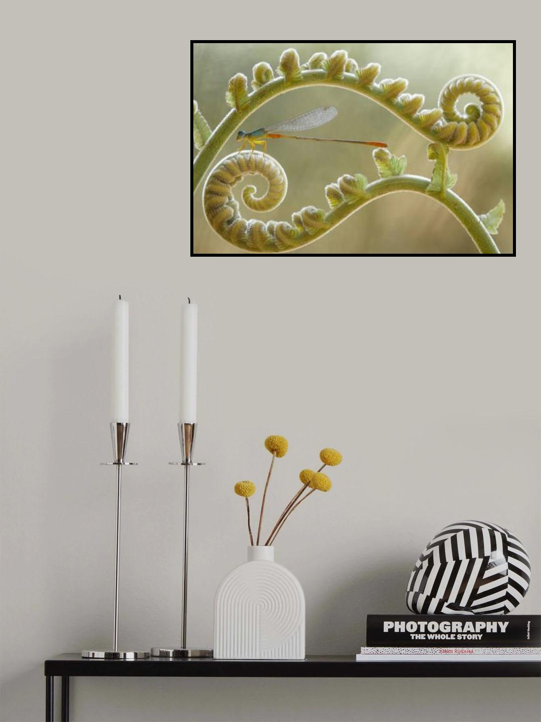 Damselfly and Ferns Poster och Canvastavla