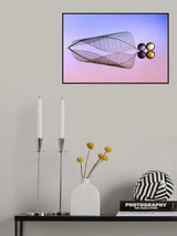 Two Droplets Poster och Canvastavla