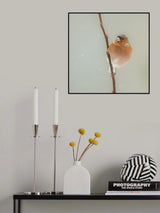 it's cold Poster och Canvastavla