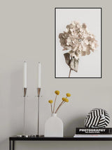 Beige dried flower Poster och Canvastavla
