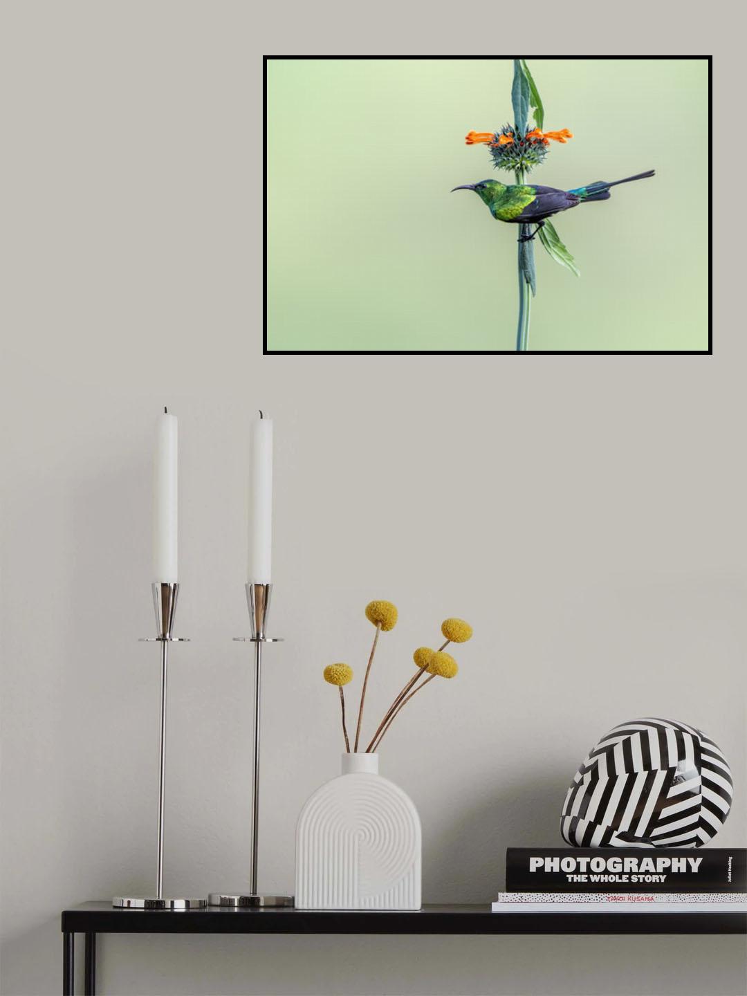 Sun Bird Poster och Canvastavla