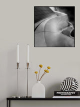 CURVES Poster och Canvastavla