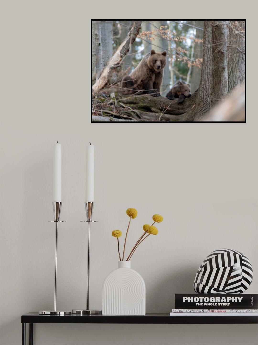 In the silence of the forest Poster och Canvastavla