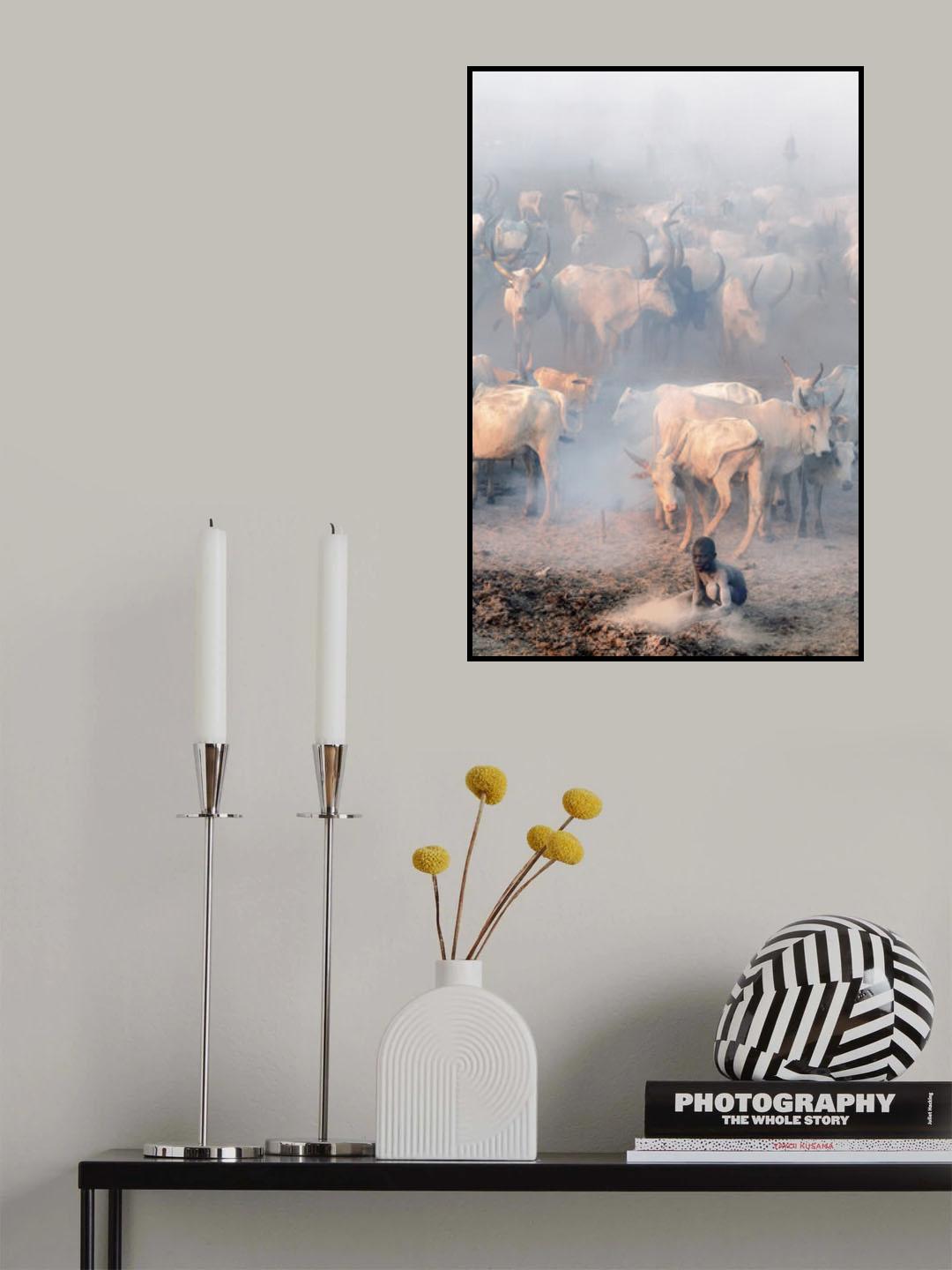 Khartoum cattle camp Poster och Canvastavla