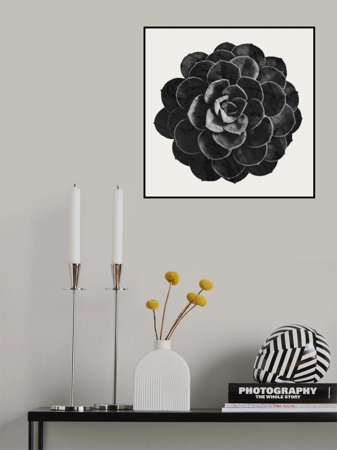Succulent 06 Poster och Canvastavla