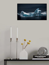 Serene Antarctica Poster och Canvastavla