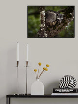 Leave me alone Poster och Canvastavla