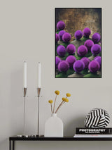 Queue for the same dreams Poster och Canvastavla