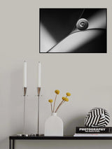 Metallic Poster och Canvastavla