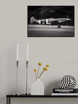Spitfire MK XIX Poster och Canvastavla