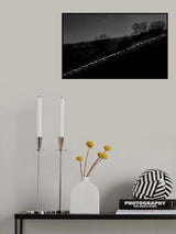 herd Poster och Canvastavla