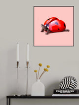Ladybug Turtle Poster och Canvastavla
