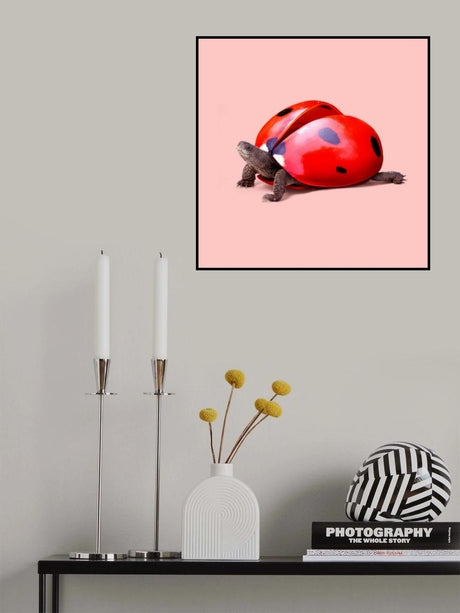 Ladybug Turtle Poster och Canvastavla