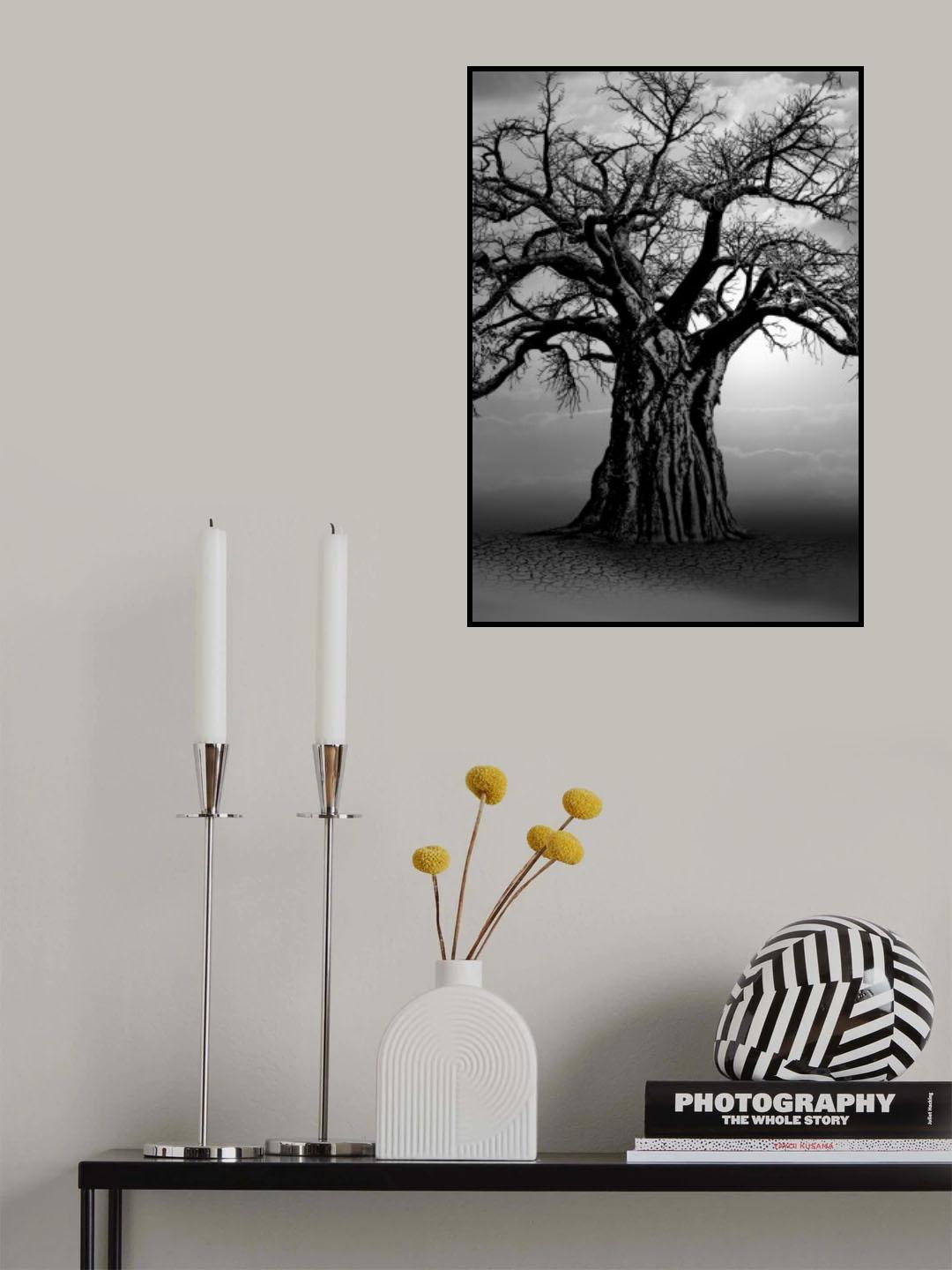 African Baobab Tree at Sunset Poster och Canvastavla