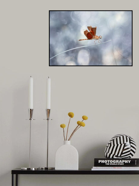 Red Dragonfly on Leaf of Grass Poster och Canvastavla