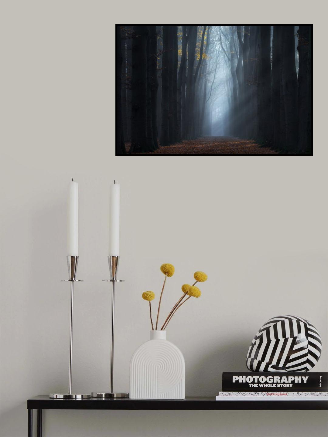 The end of the forest Poster och Canvastavla
