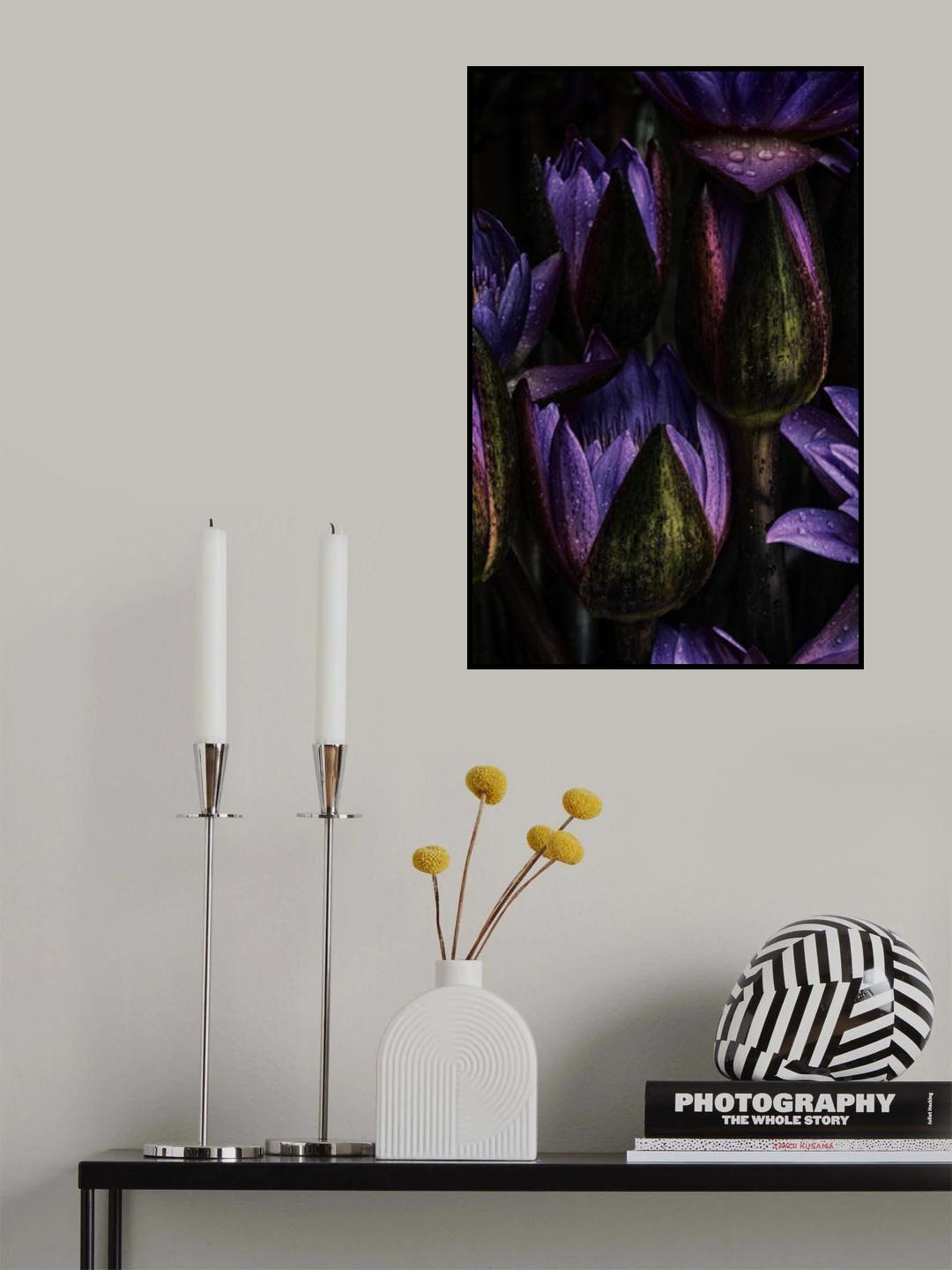 Lotus Poster och Canvastavla