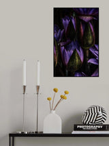 Lotus Poster och Canvastavla