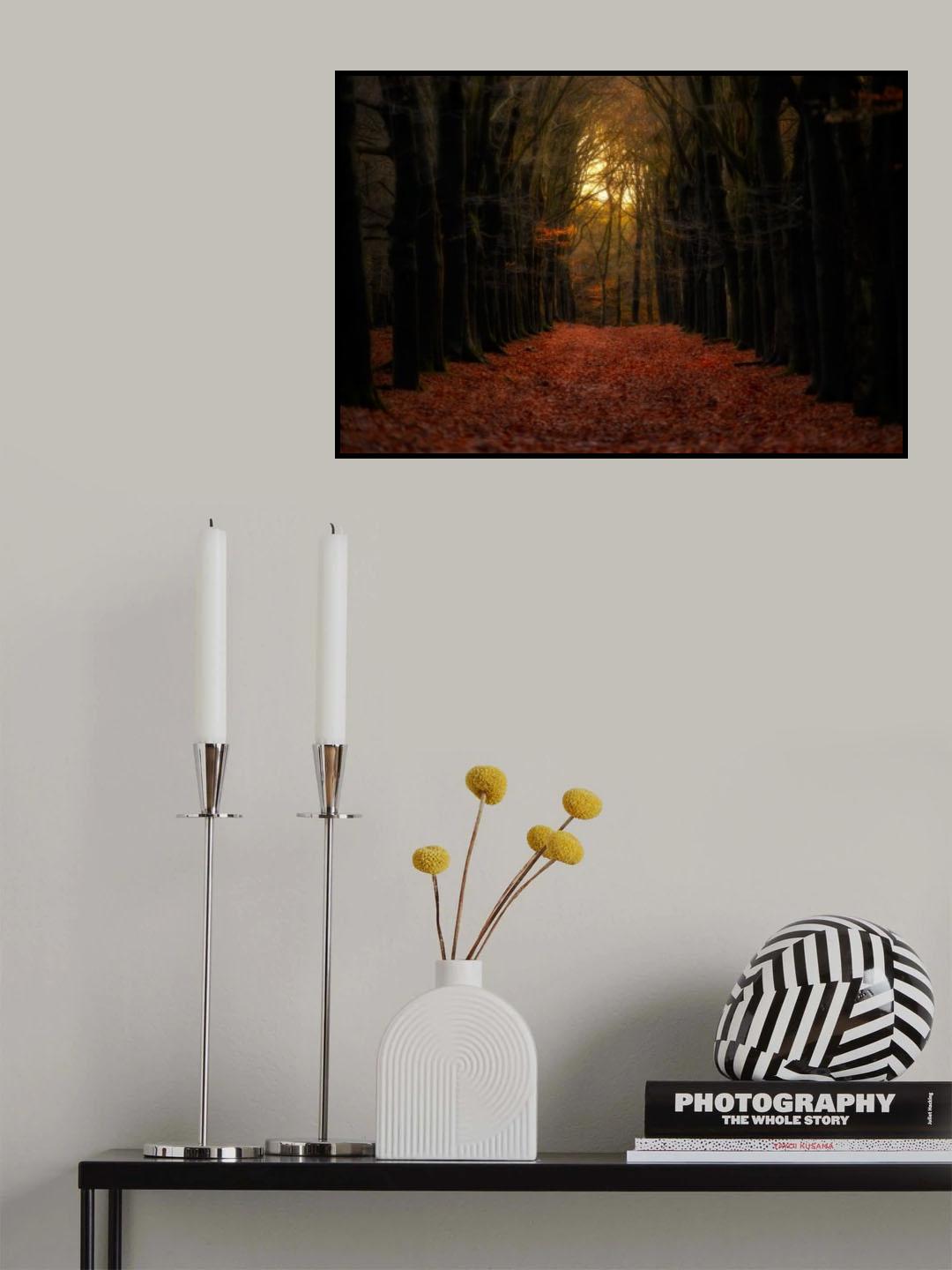 Forest  Lane Poster och Canvastavla