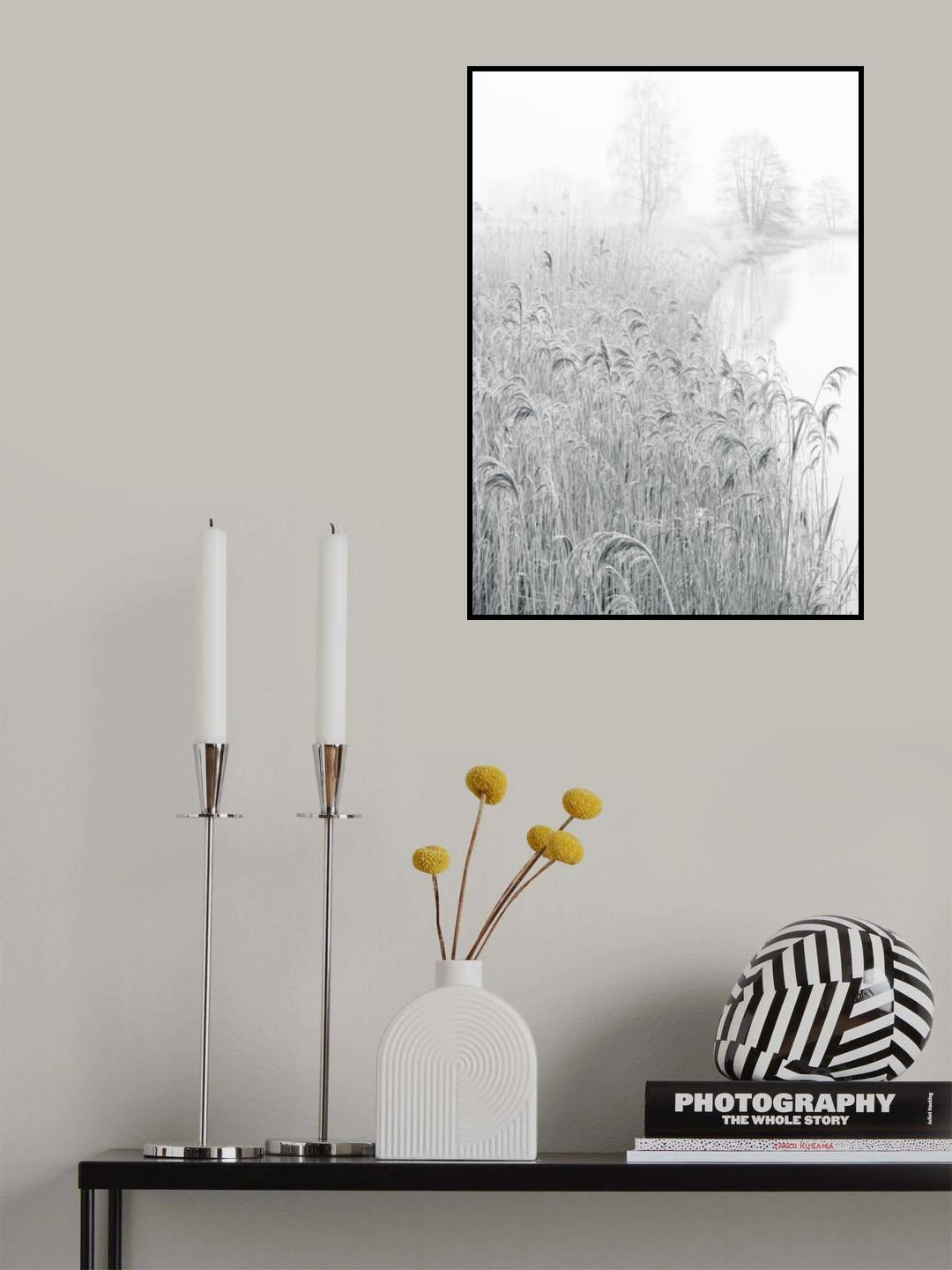Reed area snow Poster och Canvastavla