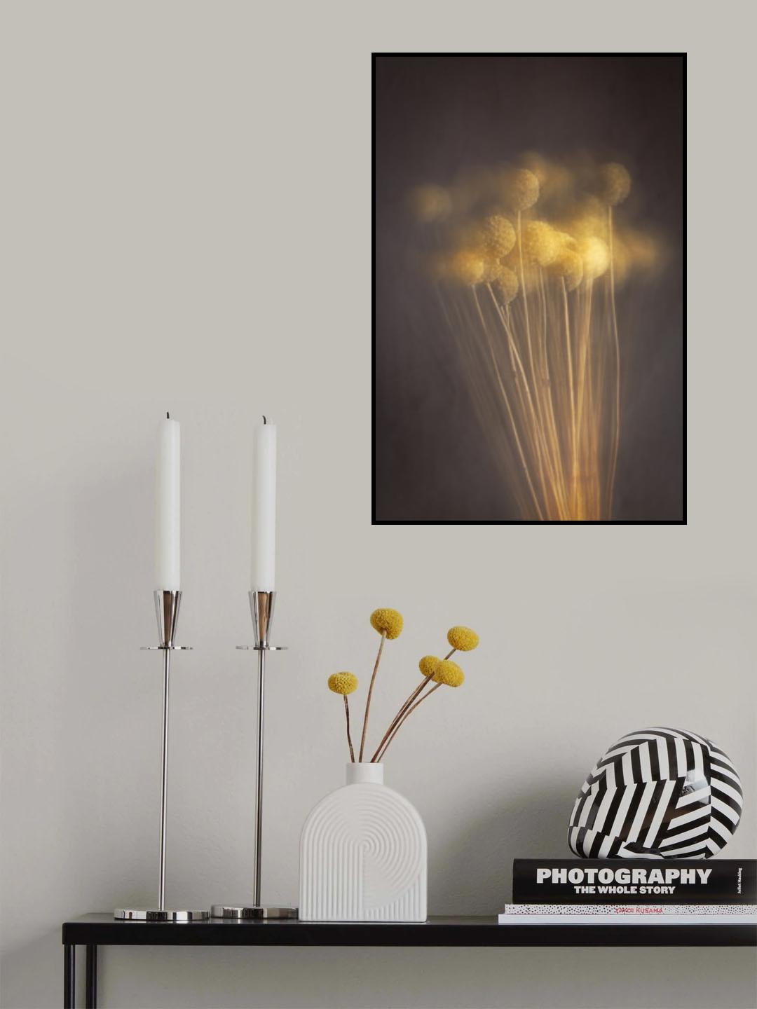 Curious Heads Poster och Canvastavla