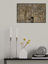 Salted Dried Fish Poster och Canvastavla
