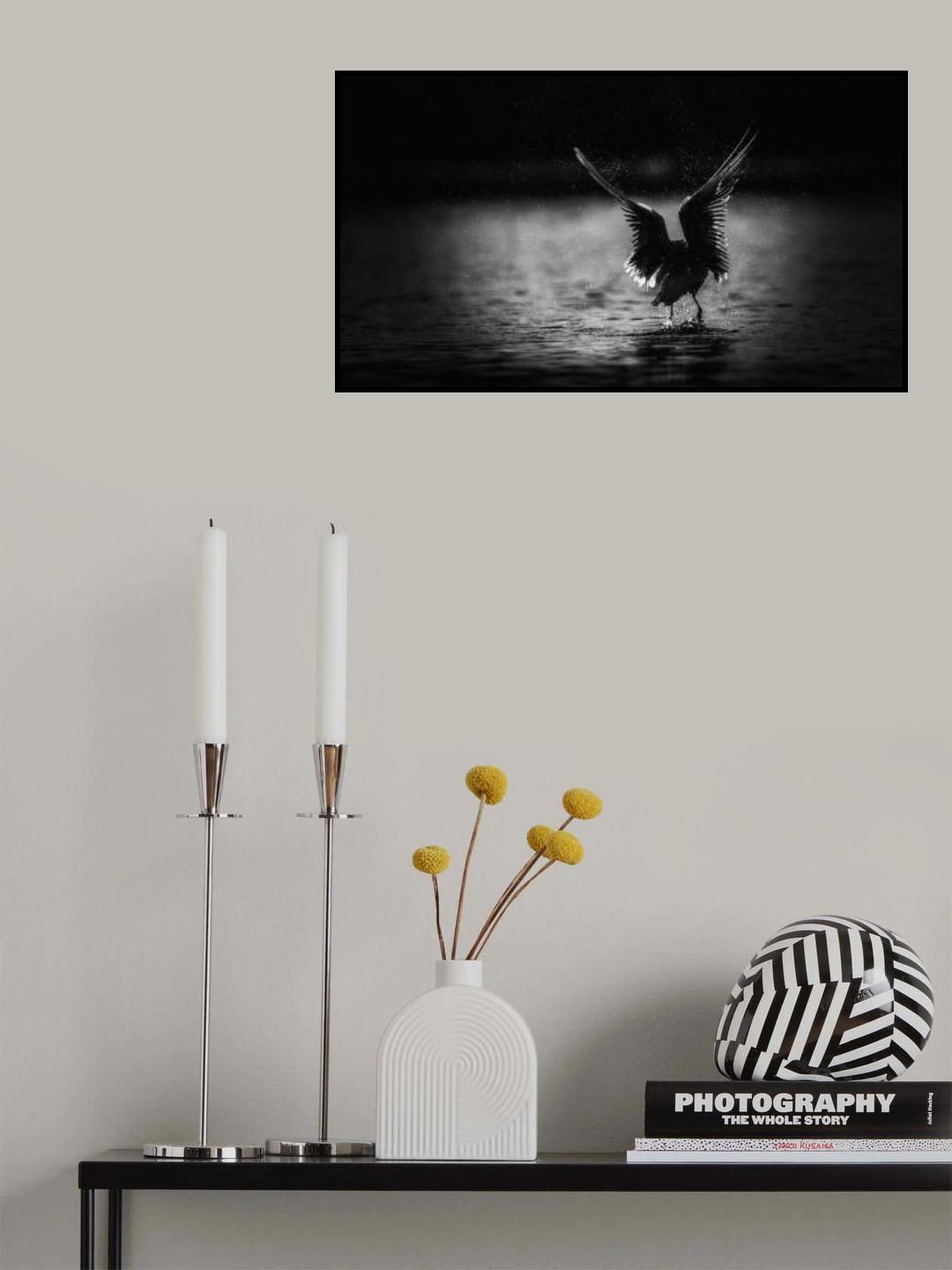 Seagull Poster och Canvastavla