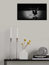 Seagull Poster och Canvastavla