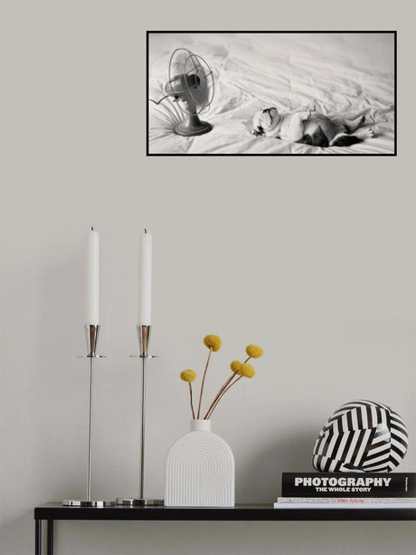 Summer Afternoon Poster och Canvastavla